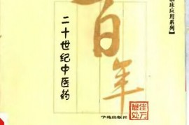 这样也行？（中医名方验方丛书）当代中医验方精选，《二十世纪中医药最佳处方 小验方卷》，