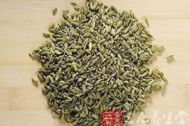 全程干货（小茴香的功效与作用与主治与用量）小茴香的功效与作用与主治图片，小茴香的功效与作用，