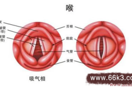 学会了吗（石上柏治什么癌症）石上柏可以预防防癌，表哥患喉癌用石上柏治疗1个月后痊愈，