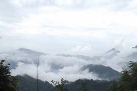 这都可以（青城山道教历史渊源）青城山是哪个道家的道场，道家青城山四季金疮秘药方，