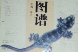 墙裂推荐（中药学图谱）常用中药300种图谱下载，《中药图谱（彩色图文版）》，