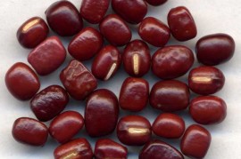 满满干货（赤小豆的功效与作用、禁忌和食用方法）赤小豆的功效与作用、禁忌及副作用，赤小豆的功效与作用及食用方法,赤小豆的副作用与禁忌,中药赤小豆图片，