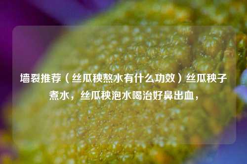 墙裂推荐（丝瓜秧熬水有什么功效）丝瓜秧子煮水，丝瓜秧泡水喝治好鼻出血，