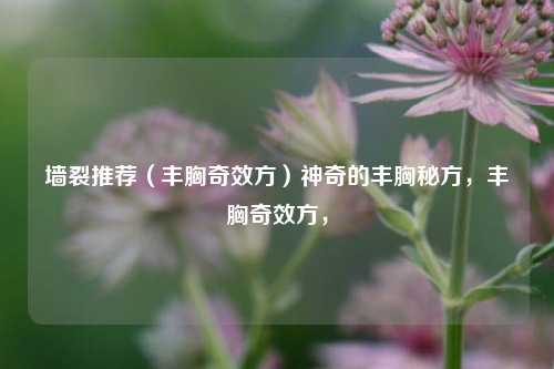 墙裂推荐（丰胸奇效方）神奇的丰胸秘方，丰胸奇效方，