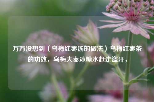 万万没想到（乌梅红枣汤的做法）乌梅红枣茶的功效，乌梅大枣冰糖水赶走盗汗，