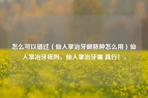 怎么可以错过（仙人掌治牙龈脓肿怎么用）仙人掌冶牙疼吗，仙人掌治牙痛 真行！，