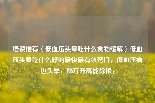 墙裂推荐（低血压头晕吃什么食物缓解）低血压头晕吃什么好的最快最有效窍门，低血压病也头晕，秘方升高能除根，