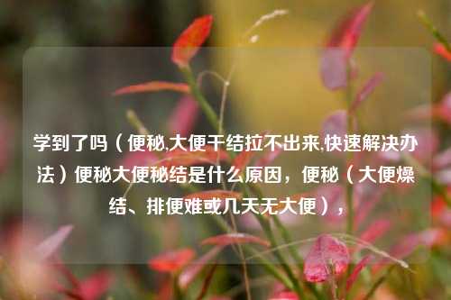 学到了吗（便秘,大便干结拉不出来,快速解决办法）便秘大便秘结是什么原因，便秘（大便燥结、排便难或几天无大便），