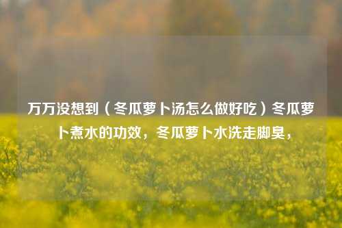 万万没想到（冬瓜萝卜汤怎么做好吃）冬瓜萝卜煮水的功效，冬瓜萝卜水洗走脚臭，