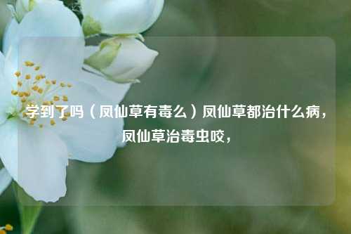 学到了吗（凤仙草有毒么）凤仙草都治什么病，凤仙草治毒虫咬，