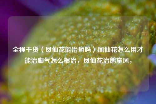 全程干货（凤仙花能治癣吗）凤仙花怎么用才能治脚气怎么根治，凤仙花治鹅掌风，