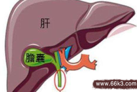 真没想到（慢性胆囊炎偏方治好的案例有哪些）慢性胆囊炎偏方治好的案例视频，2个治疗慢性胆囊炎的偏方，