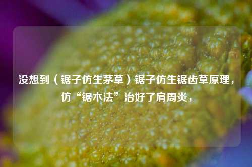 没想到（锯子仿生茅草）锯子仿生锯齿草原理，仿“锯木法”治好了肩周炎，