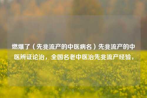 燃爆了（先兆流产的中医病名）先兆流产的中医辨证论治，全国名老中医治先兆流产经验，